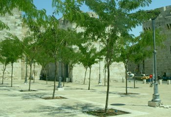 Mamilla Mall by Jaffa Gate, Jerusalem